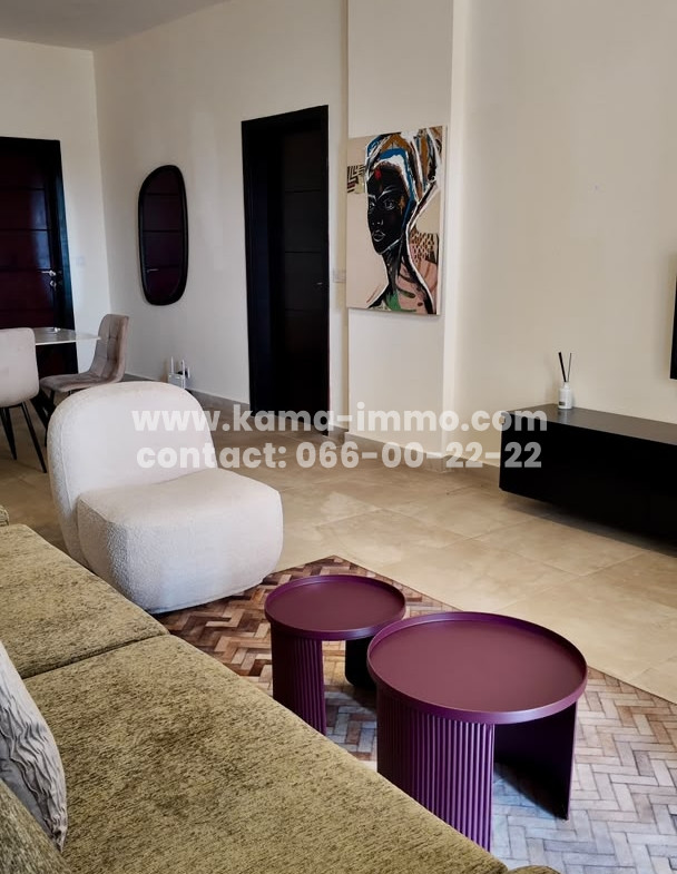 Appartement meublé à louer Au centre ville